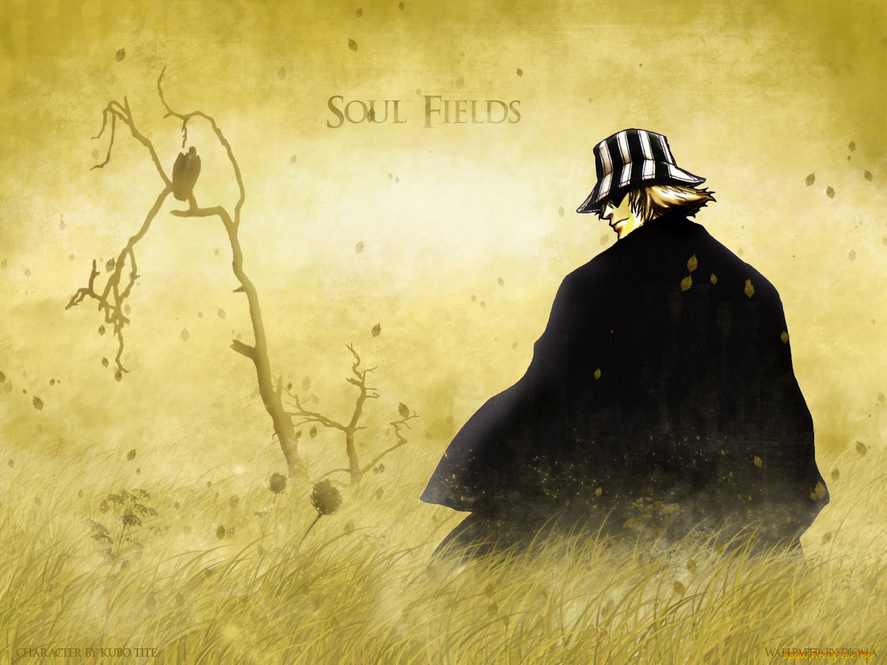 soul, fields, , bleach, kisuke, urahara